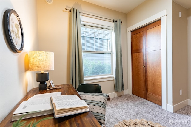 sitting room featuring carpet floors