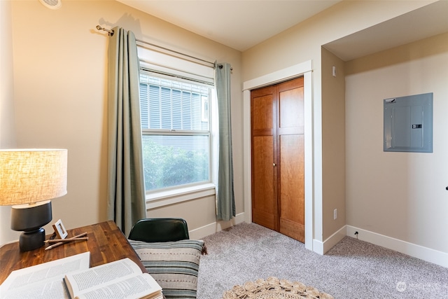 interior space featuring carpet and electric panel