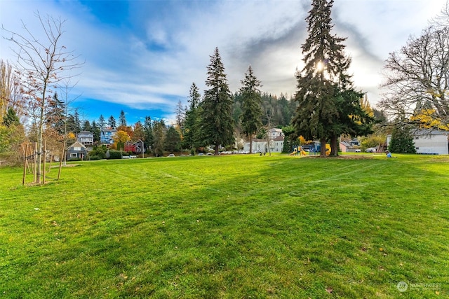 1000 High St Unit 101, Bellingham, WA 98225 - view of green lawn