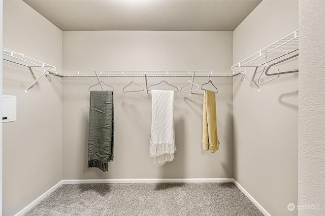 spacious closet featuring carpet floors