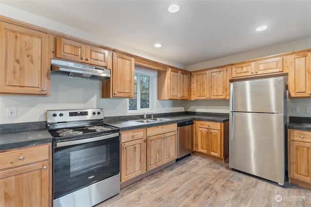 kitchen featuring appliances with stainless steel finishes, sink, and light hardwood / wood-style flooring