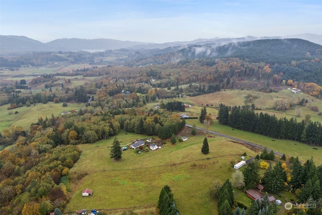 birds eye view of property featuring a mountain view