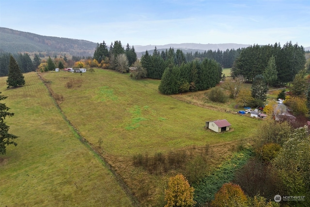 birds eye view of property with a mountain view and a rural view