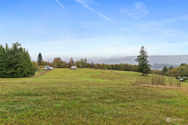 view of yard featuring a mountain view and a rural view