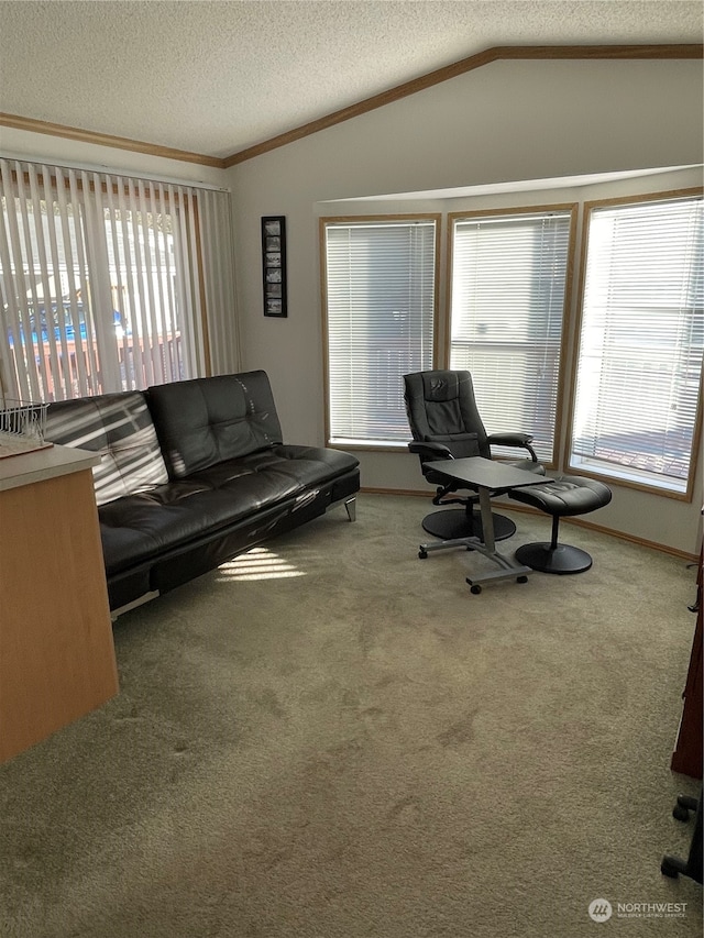 living room with a textured ceiling, lofted ceiling, carpet floors, and a wealth of natural light