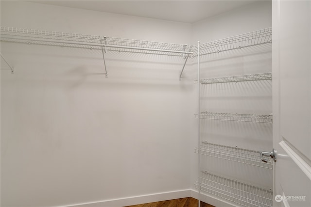 spacious closet featuring hardwood / wood-style flooring