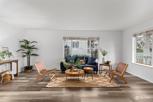 living area with plenty of natural light and dark hardwood / wood-style floors