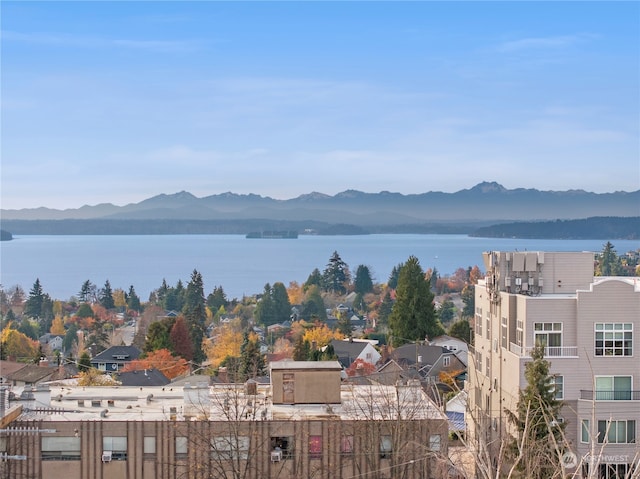 water view featuring a mountain view