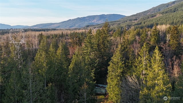 property view of mountains