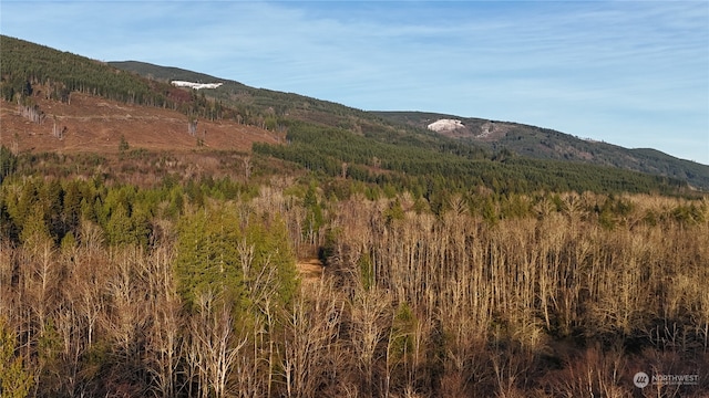 view of mountain feature