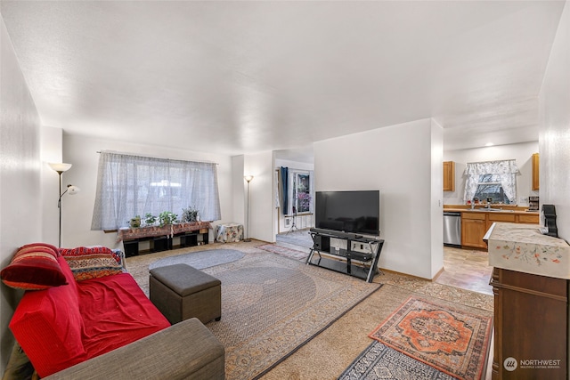 living room with sink