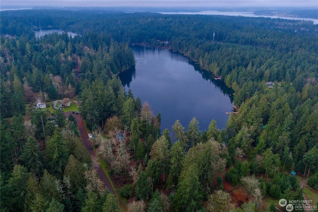11023 Cascade Pl, Anderson Island, WA 98303