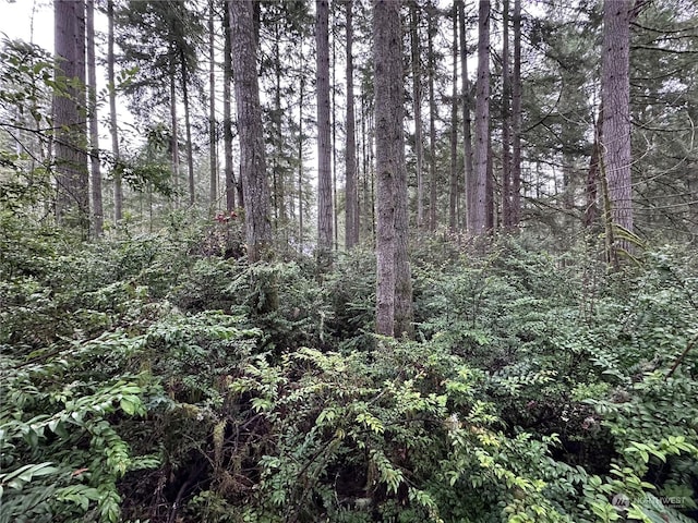 11023 Cascade Pl, Anderson Island, WA 98303