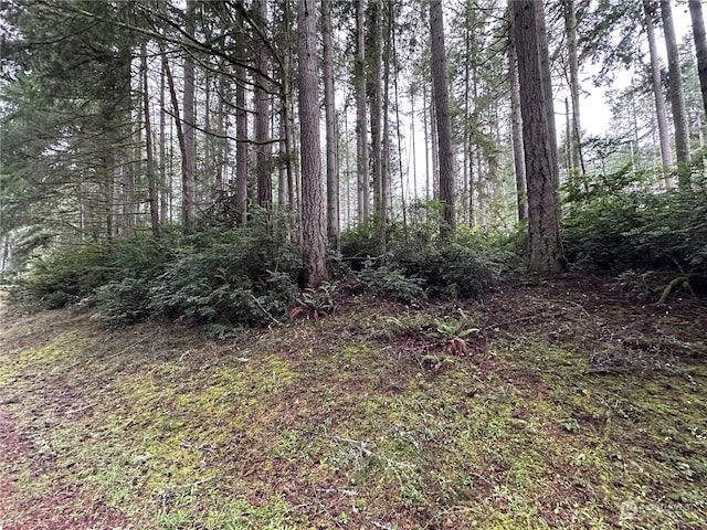 11023 Cascade Pl, Anderson Island, WA 98303