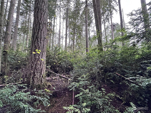11023 Cascade Pl, Anderson Island, WA 98303