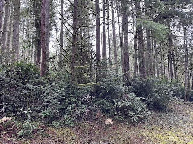 11023 Cascade Pl, Anderson Island, WA 98303