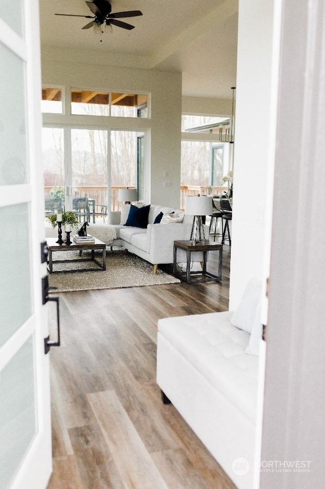 living room with ceiling fan and hardwood / wood-style flooring