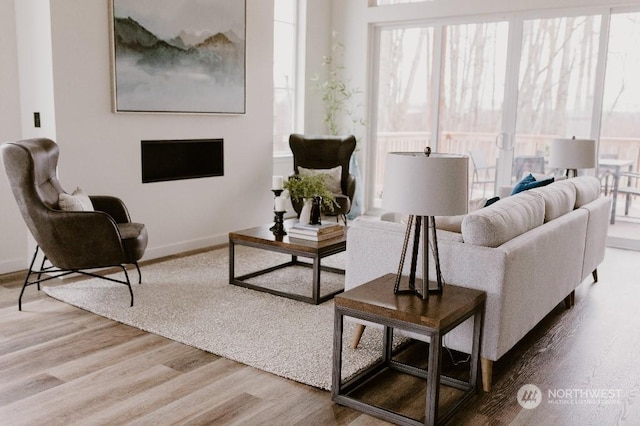 living room with hardwood / wood-style flooring