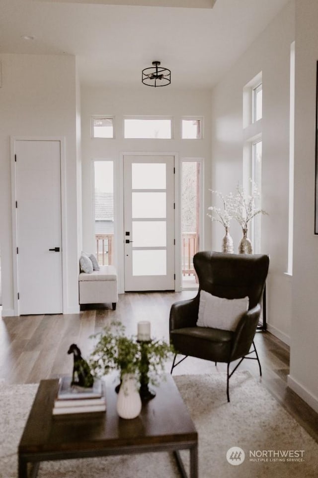 interior space with a healthy amount of sunlight and hardwood / wood-style flooring