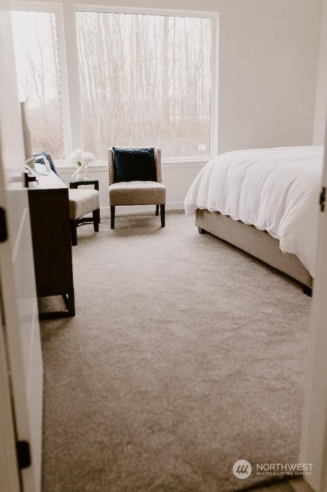 bedroom with carpet floors