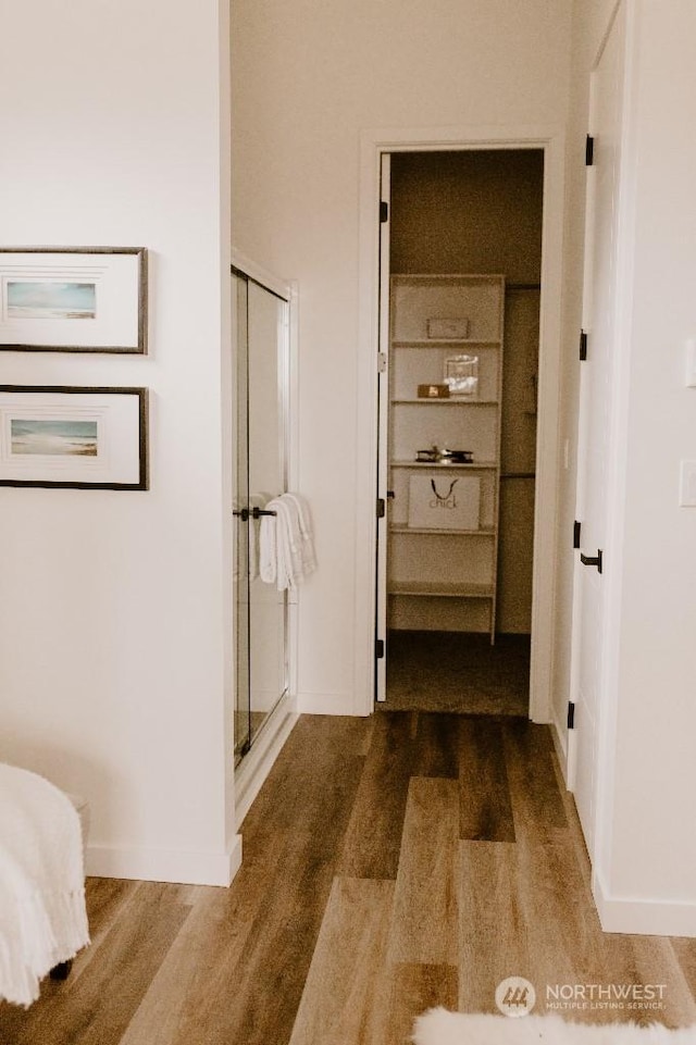 bathroom featuring wood-type flooring