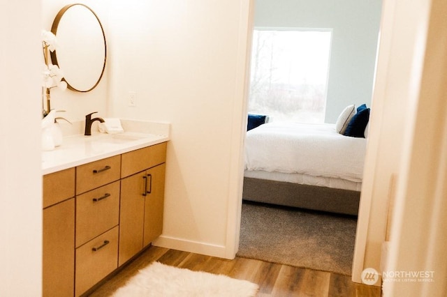 bathroom featuring wood-type flooring and vanity