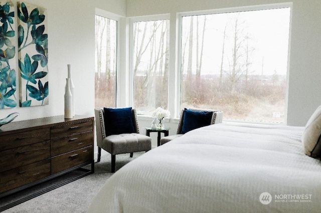 bedroom featuring multiple windows and light carpet