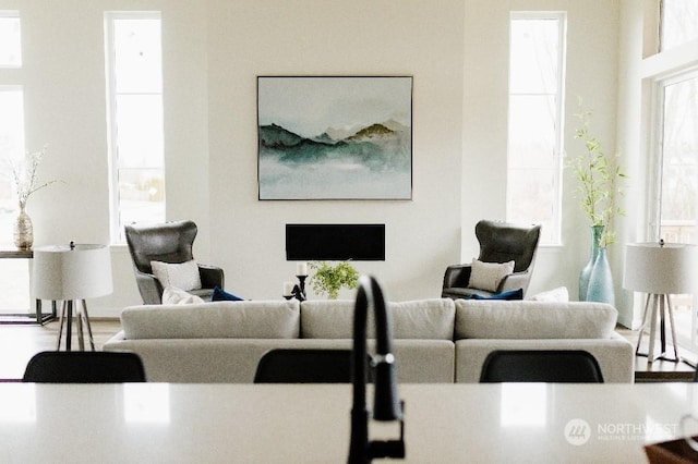 living room with a wealth of natural light