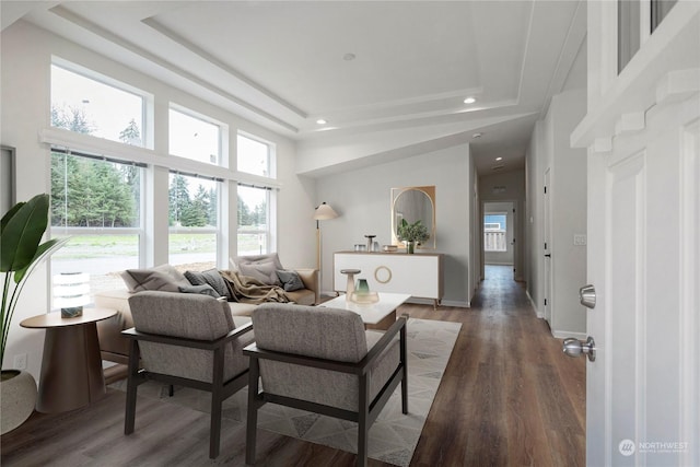 living room featuring a tray ceiling, wood-type flooring, and a high ceiling