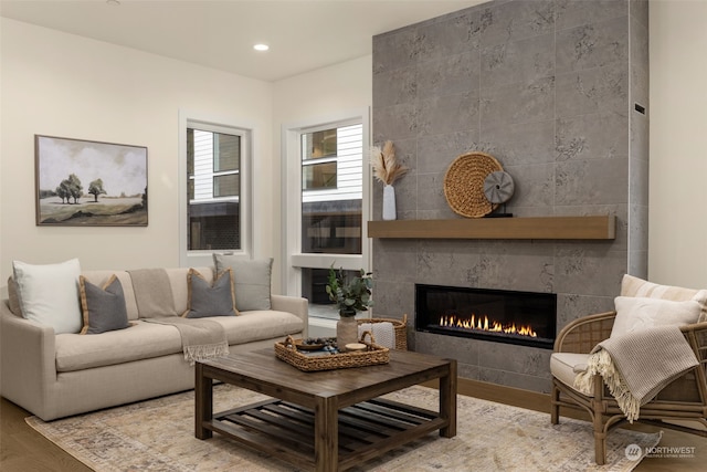 living room with a fireplace and hardwood / wood-style flooring