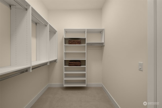 spacious closet featuring light colored carpet