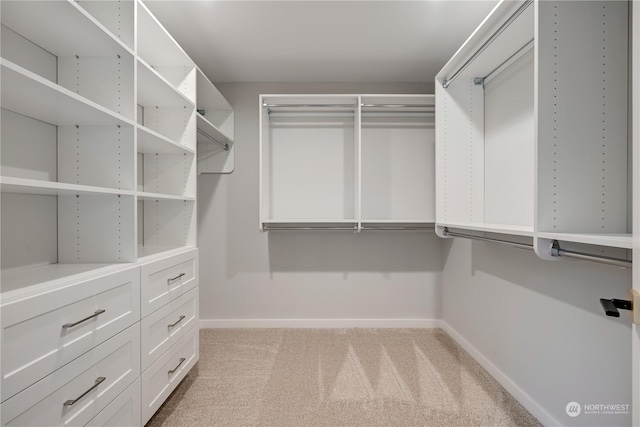 spacious closet featuring light colored carpet