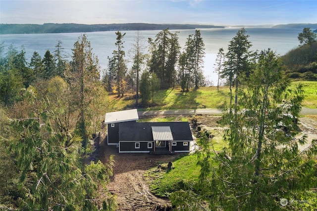 bird's eye view with a water view