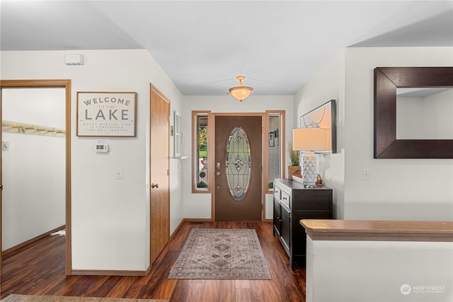 entrance foyer featuring dark hardwood / wood-style floors