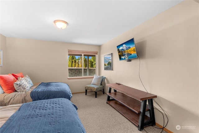 bedroom with light carpet