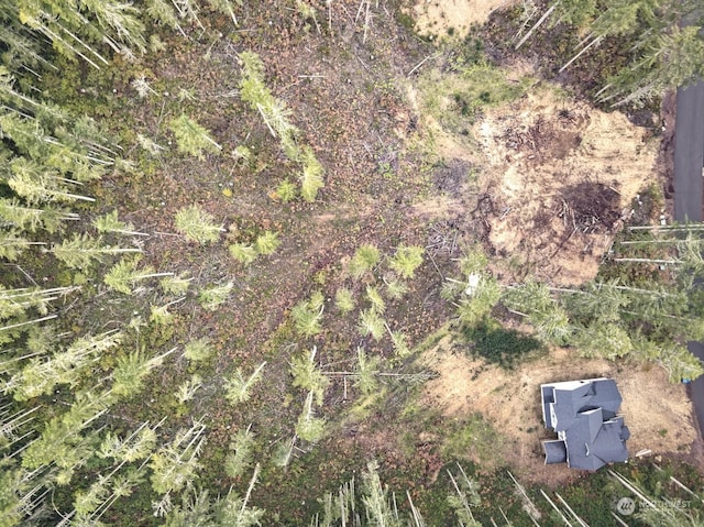 701 W Clear Lake Dr, Shelton, WA 98584 - photo 11