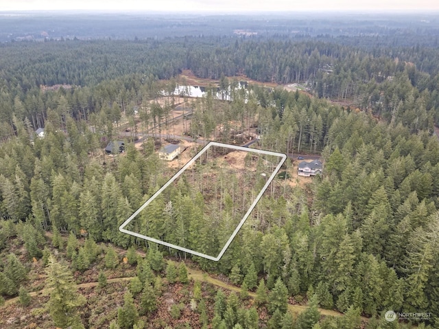 701 W Clear Lake Dr, Shelton, WA 98584 - photo 15