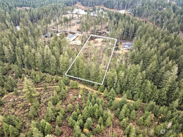 701 W Clear Lake Dr, Shelton, WA 98584 - photo 5