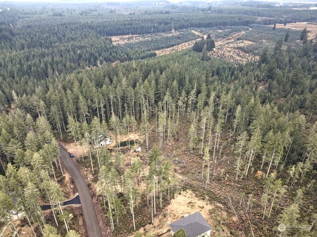701 W Clear Lake Dr, Shelton, WA 98584 - photo 14