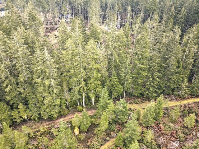 701 W Clear Lake Dr, Shelton, WA 98584 - photo 16