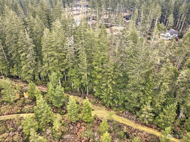 701 W Clear Lake Dr, Shelton, WA 98584 - photo 17