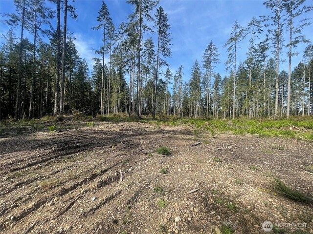 701 W Clear Lake Dr, Shelton, WA 98584 - photo 12