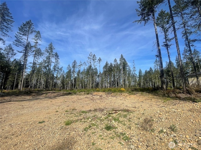 701 W Clear Lake Dr, Shelton, WA 98584 - photo 8