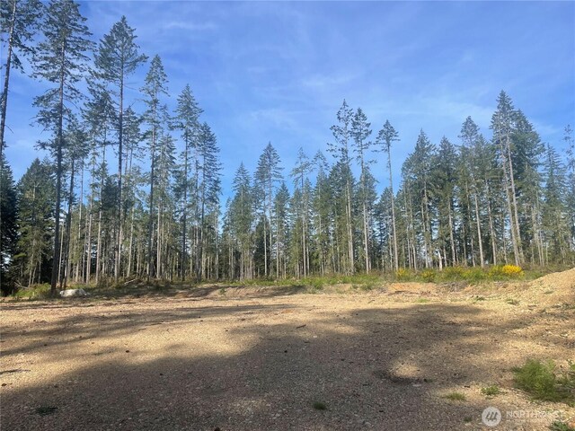 701 W Clear Lake Dr, Shelton, WA 98584 - photo 7