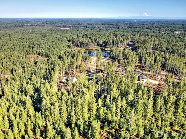 701 W Clear Lake Dr, Shelton, WA 98584 - photo 1