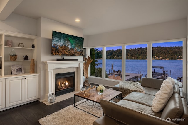 living room featuring a fireplace and dark wood-type flooring