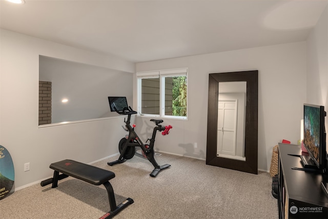 exercise area featuring carpet flooring