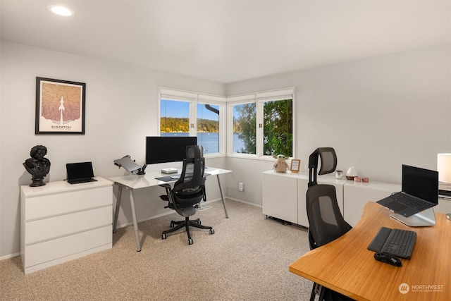 office with light colored carpet