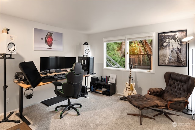 home office with carpet floors