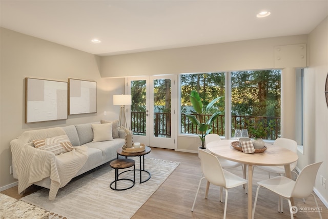 living room with light hardwood / wood-style floors and french doors